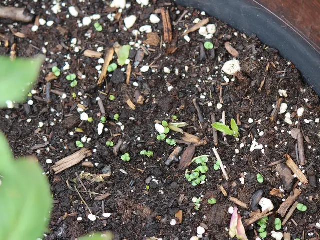 Techniques to Grasp: Understanding Soil Health and Soil Analysis