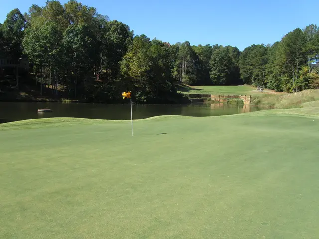 Village of Bursa transforms into refuge for storks