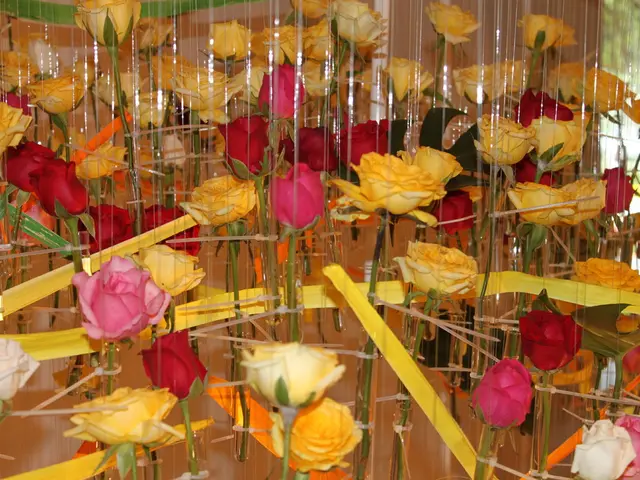 Modern Window Dressing Ideas: Exploring 16 Curtain Styles for Contemporary Homes - A Guide to...