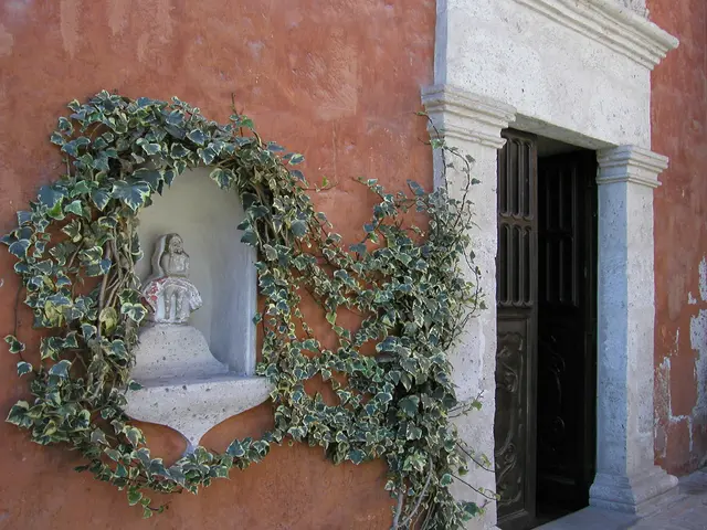 Hotel in California experiences странное событие: исчезновение пеющиеволок