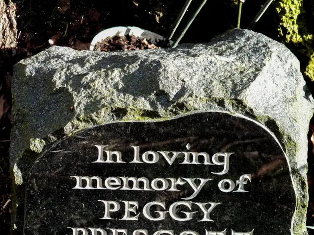 A stone sink decorated with lichen and adorned with a captivating arrangement of succulents,...