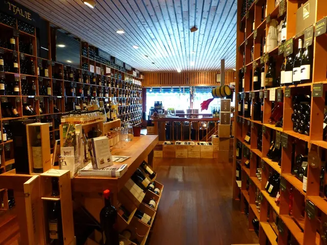 Importance of Reusable Bottles: Factors to Consider When Purchasing Reusable Water Containers