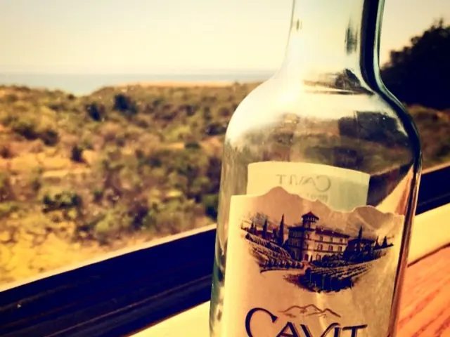 Cultivating and Processing American Ginseng in Ohio: Harvest, Cleaning, and Dehydrating