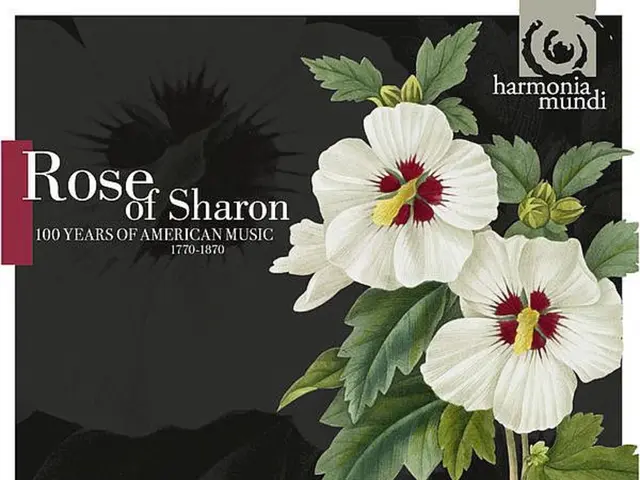 Divine-Inspired Inspiration, or the Weeping of the Gods: Hollyhock Tears