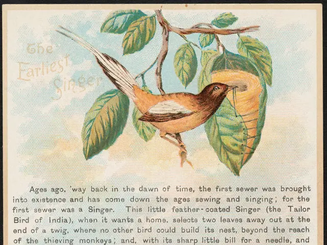 "Embroidered Avian Artistry: Coastal Layers by Deborah Campbell"