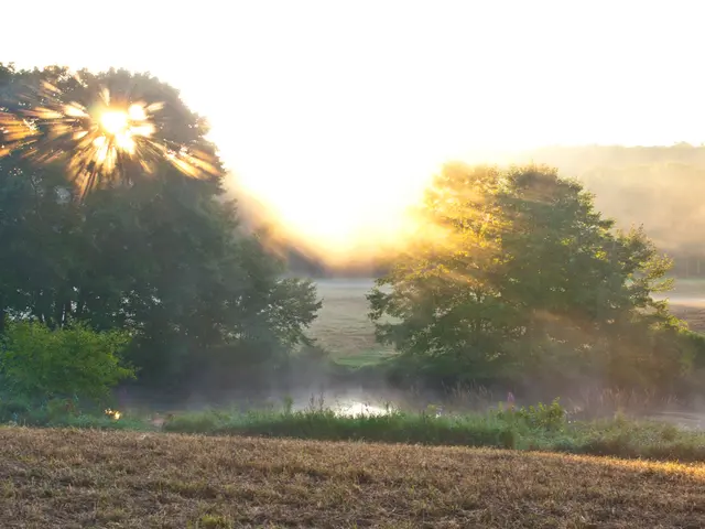 Maintaining Moisture in Compost for Arid Regions