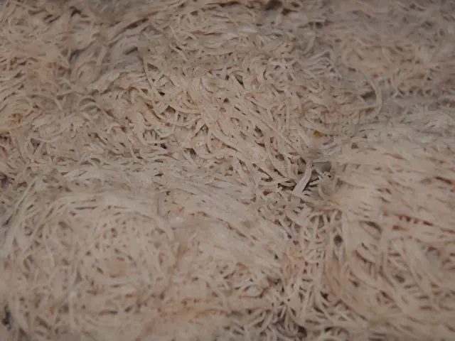 Delicious Flavors Prevail in Munich.