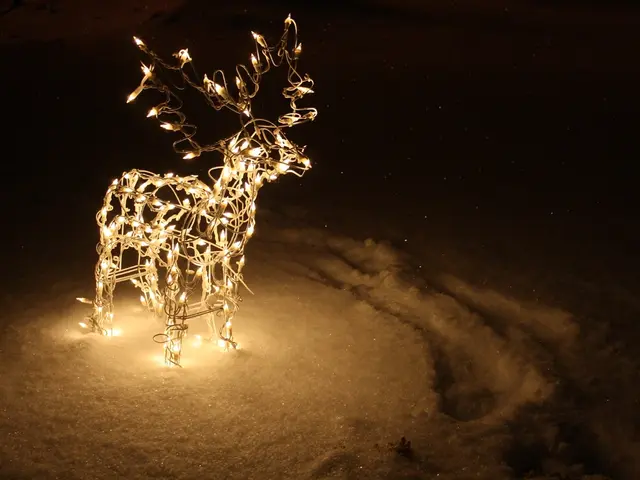 Fox and Hare bid each other goodnight before embarking on an evening journey