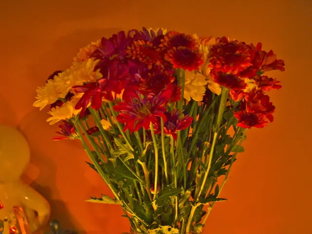 Young royal princes Maximus I and Alexander I presented to public for the first time