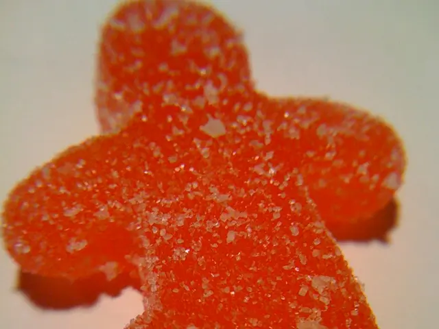 Brewing Fundamentals: A Beginner's Guide to Step Mashing