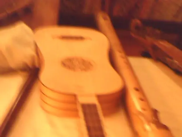 Easy-to-Learn Instrument: The Ukulele is Ideal for Musical Newcomers