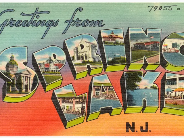 Images of star-studded skies above forest landscapes, available for unrestricted use