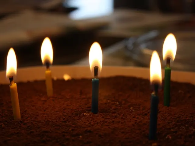 Discovering High-End Candle Brands on Amazon: Some Offering Discounts Too!