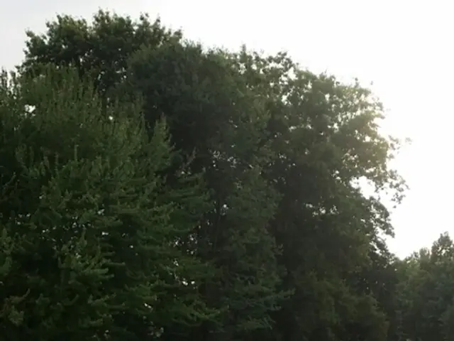 Natural and Physical Activity in Healthcare - Miraculous Benefits Unveiled