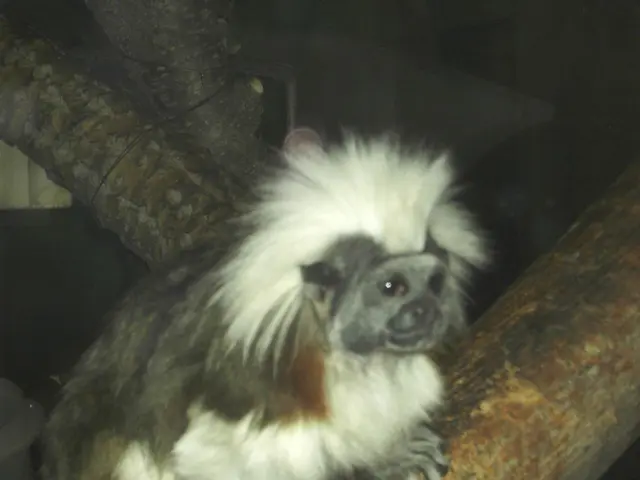 A Critical Evaluation of the Marmot Fordham Coat