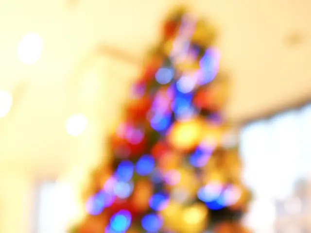 Prolong your Christmas tree's health and beauty by following these care tips: prevent branch...