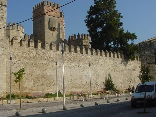 Smooth Transition and Storage Solutions: Effortless Moving Assistance