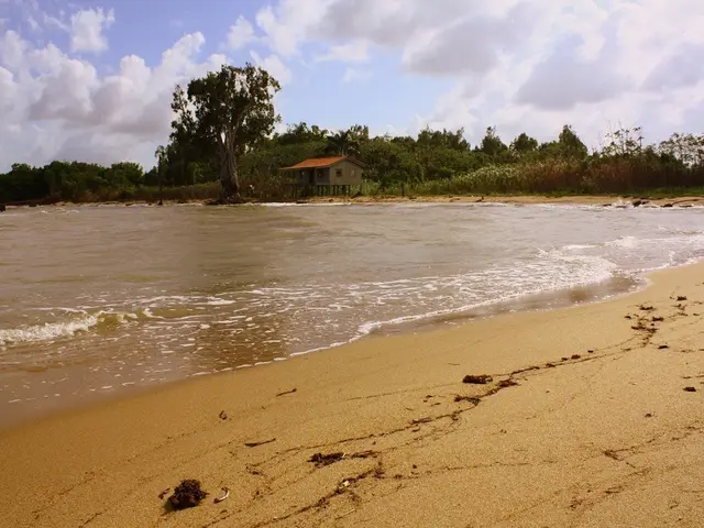 Transformed War Barracks Evolves into Charming Dorset Beach House