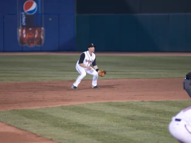 Guide to Watering Alcea Rosea (Hollyhocks): Scheduling and Techniques for Adequate Hydration