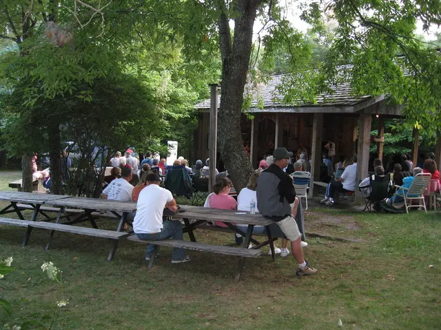 Essential Guidelines for Minimalistic Lifestyle Adoption