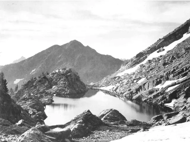 Guide on Cultivating Nasturtiums: Instructions for Sowing, Nurturing, and Gathering Nasturtium...