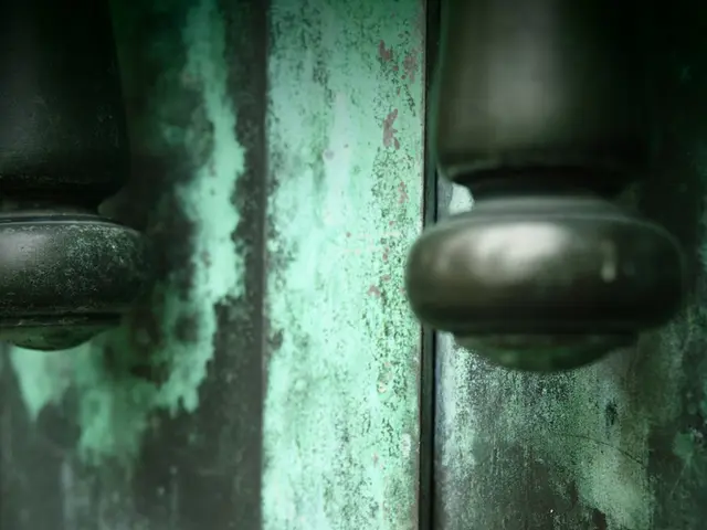 Avoid utilizing WD-40 in these unexpected spots, and opt for alternative solutions instead: