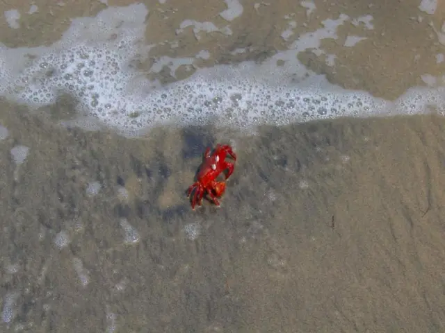 Theatre season kick-off in Freiburg with the premiere of the Waterworld-Musical on days 25/26