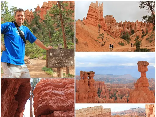 Four decades of Ballymun documented in video archive