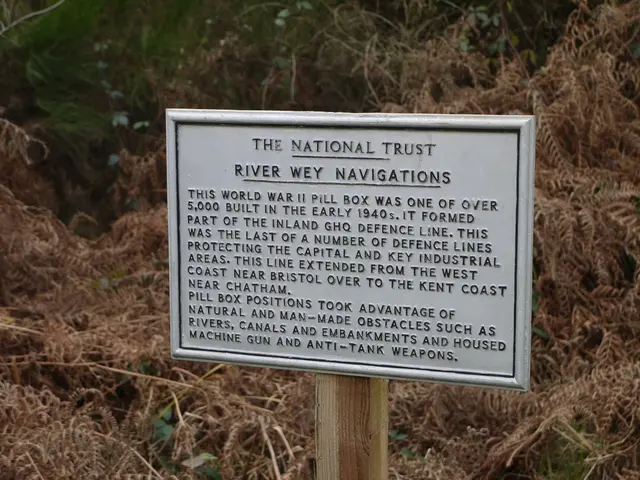 Unveiling Nine Unspoken Facts Regarding Aerial Vegetation in the Sky