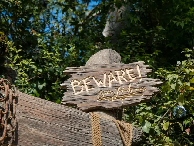 Uncovering the Mysteries of Accoya: A Deep Dive into its Features and Benefits