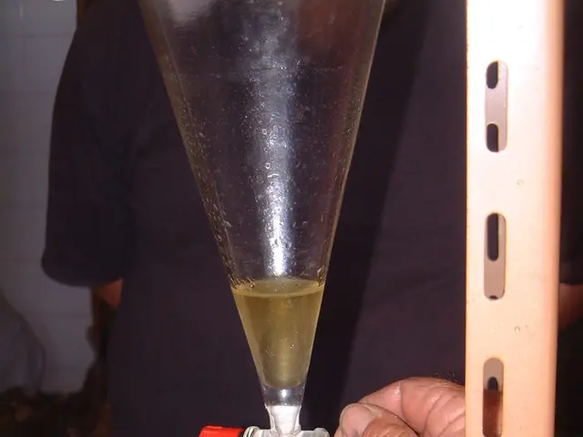 Commencement Guide: Launching into the Realm of Step Mashing