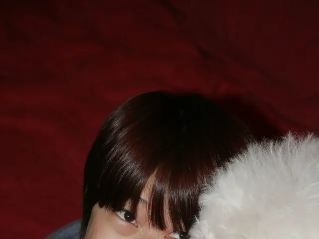 Simplifying Pet Care: 5 Easy Strategies to Reduce Stress