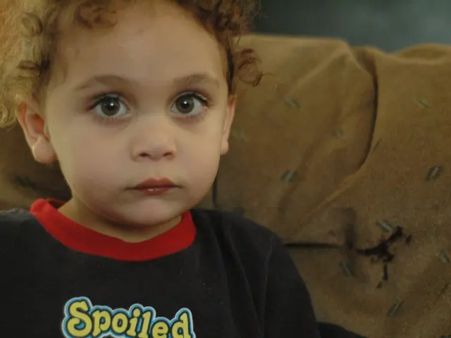 Effective Strategies for Lice Eradication