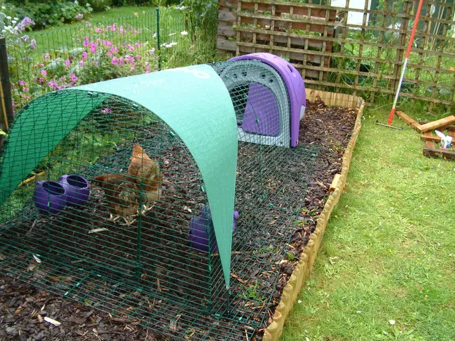 Raising Chickens for the Uninitiated: A Guide for the Unversed in Backyard Poultry Farming