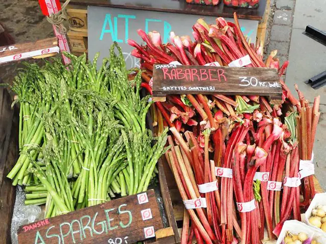 Eco-Friendly Gardening Aids for Hassle-Free Sustainable Gardening