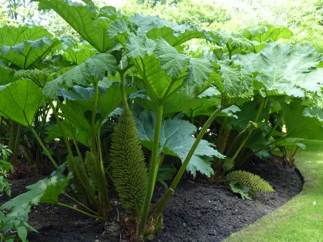 Interdependent Ecosystem of Soil Creatures and Flora: A Symbiotic Bond