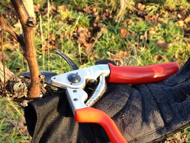 Robot population surges by 45%