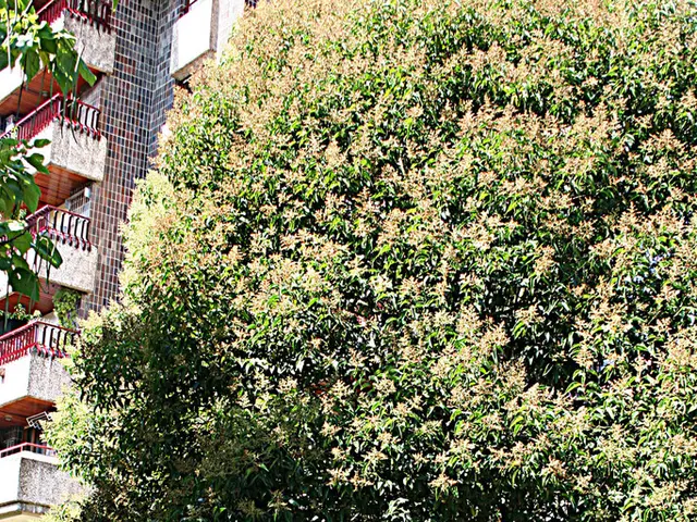 Transformed War Barracks Becomes Enchanting Dorset Beach House