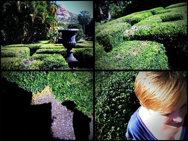 Joseph Ross Identified as Individual in Question