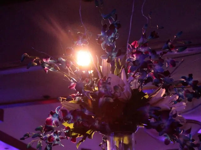 Enhance Your Bathroom Aesthetics: The Top 10 Plants for Your Bathroom Space