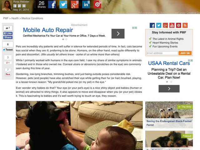 Children's Digital Experience - Enchanted Storytime with the Artificial Intelligence Companion