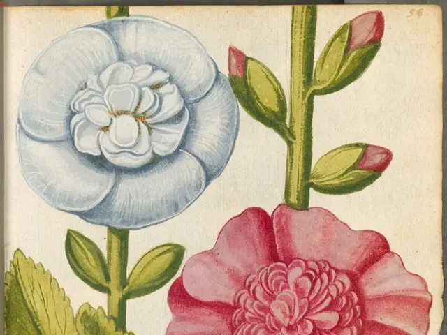 Minimalist styles, specifically greige, face a challenge as Dopamine Decor gains popularity,...