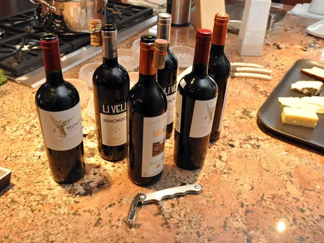 "Explore 30 Wayfair Kitchen Items to Enhance Your Culinary Skills at Home"