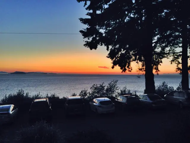 Debating Factors: Is the Summer of 2025 Authentic?