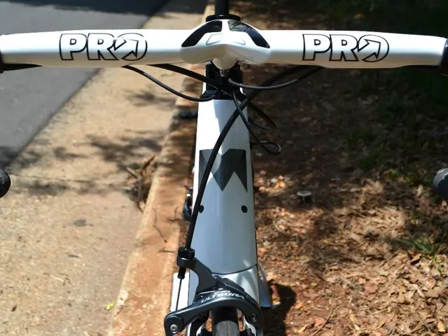 A political group advocates for the construction of a biking path, likening it to an "unstable...