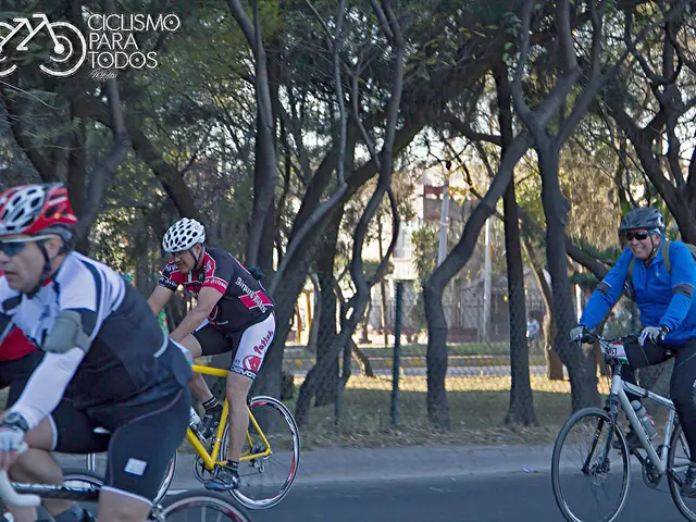 Top Scenic Bicycle Trails Across Germany