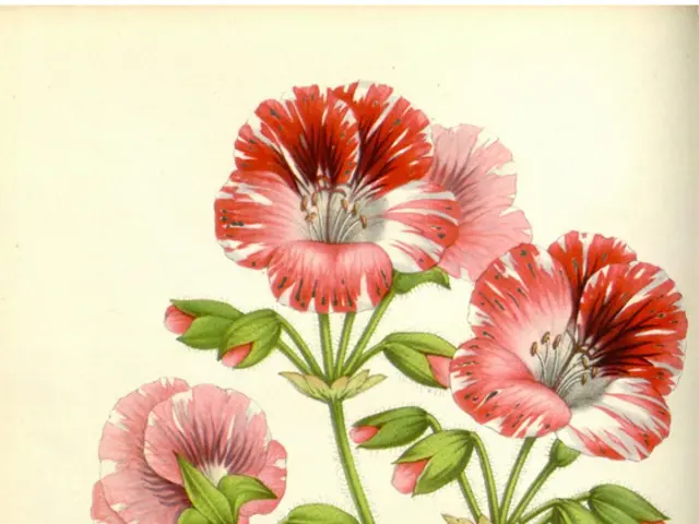 Understanding the Mechanics of Poetry