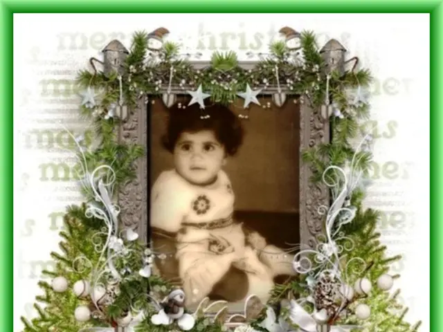 Child Protection Against Identity Fraud: Guarding Your Kids from Digital Impersonation