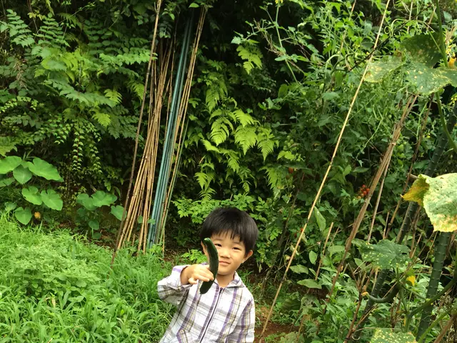 Preserve leftovers by storing them beneath the cucumbers, ensuring they stay moist and fresh.