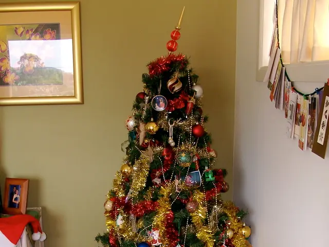 Holiday Grapevine Decoration Wreath